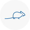Mice Exterminators In Skegness